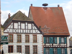 VOYAGE A RIBEAUVILLÉ 2012